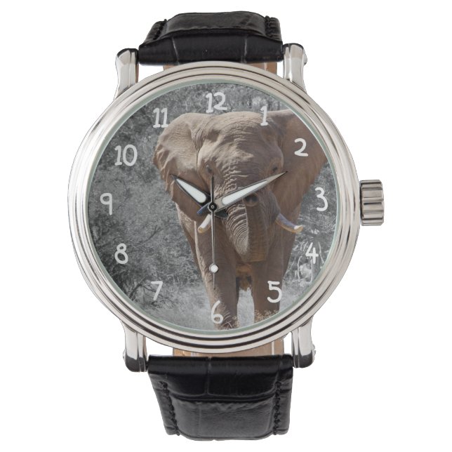 Afrikaanse olifant horloge (Voorkant)