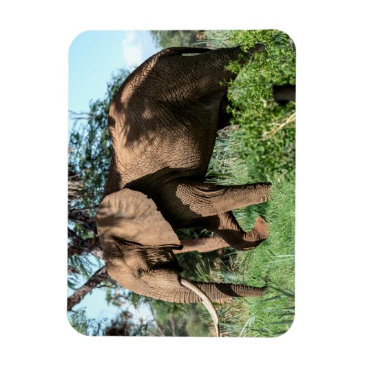 Afrikaanse olifant in de Safari Magneet (Verticaal)