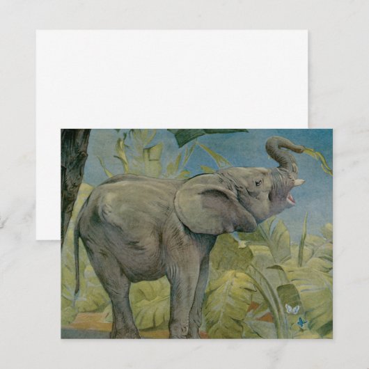  Afrikaanse olifant in het Oerwoud, EJ Detmold (Voorkant / Achterkant)