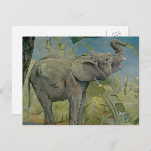 Afrikaanse olifant in het Oerwoud, EJ Detmold Briefkaart (Voorkant / Achterkant)