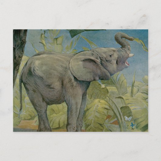  Afrikaanse olifant in het Oerwoud, EJ Detmold Briefkaart (Voorkant)