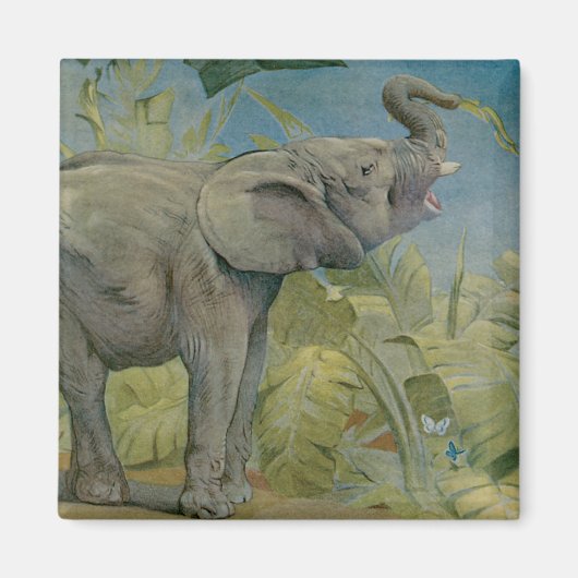  Afrikaanse olifant in het Oerwoud, EJ Detmold Magneet (Voorkant)