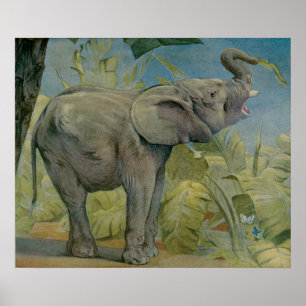 Afrikaanse olifant in het Oerwoud, EJ Detmold Poster