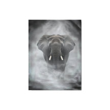 Afrikaanse Olifant in Nevelige Mist Serene Impasto