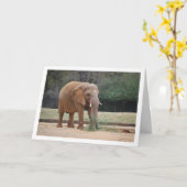 Afrikaanse olifant in park kaart (Gele Bloem)