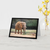 Afrikaanse Olifant in Park Kaart (Gele Bloem)