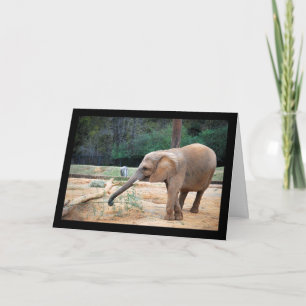 Afrikaanse olifant in parkportret kaart