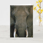 Afrikaanse Olifant Kaart (Gele Bloem)
