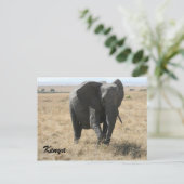 afrikaanse olifant kenya briefkaart (Staand voorkant)