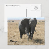 afrikaanse olifant kenya briefkaart (Voorkant / Achterkant)
