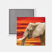 Afrikaanse olifant - koelkastmagneet magneet (Voorkant / Achterkant)