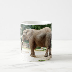 Afrikaanse olifant koffiemok