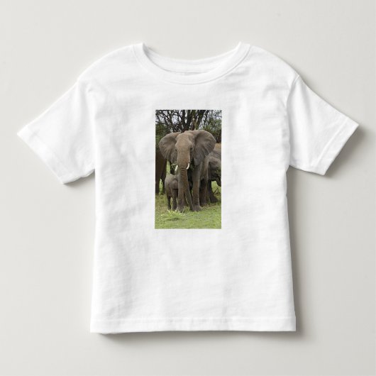 Afrikaanse Olifant | Kudde Kinder Shirts (Voorkant)