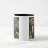 Afrikaanse Olifant | Kudde Mok (Midden)