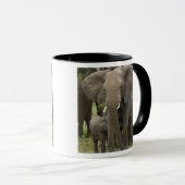 Afrikaanse Olifant | Kudde Mok (Voorkant rechts)