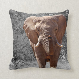Afrikaanse Olifant Kussen