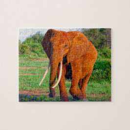 Afrikaanse olifant legpuzzel