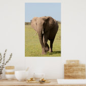 Afrikaanse olifant (Loxodonta Afriana), Maasai Poster (Keuken)