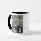 Afrikaanse olifant (Loxodonta africana), drink Mok (Voorkant links)