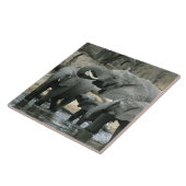 Afrikaanse olifant (Loxodonta africana), drink Tegeltje (Zijkant)