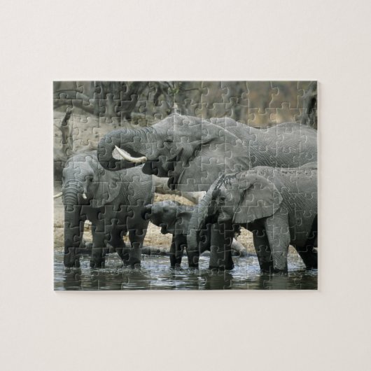 Afrikaanse Olifant, (Loxodonta africana), drinkend Legpuzzel (Horizontaal)