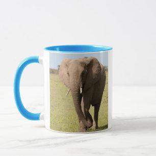 Afrikaanse Olifant (Loxodonta Africana), Maasai Mok