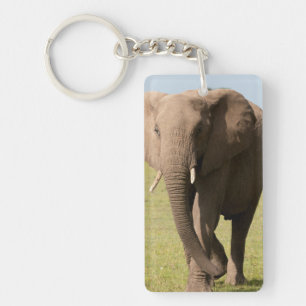 Afrikaanse Olifant (Loxodonta Africana), Maasai Sleutelhanger