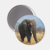 Afrikaanse olifant magneet (Voorkant / Achterkant)