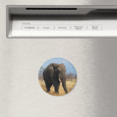 Afrikaanse olifant magneet (Insitu (Vaatwasser))