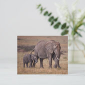 Afrikaanse olifant met baby briefkaart (Staand voorkant)