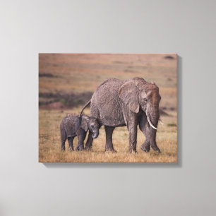 Afrikaanse olifant met baby canvas afdruk