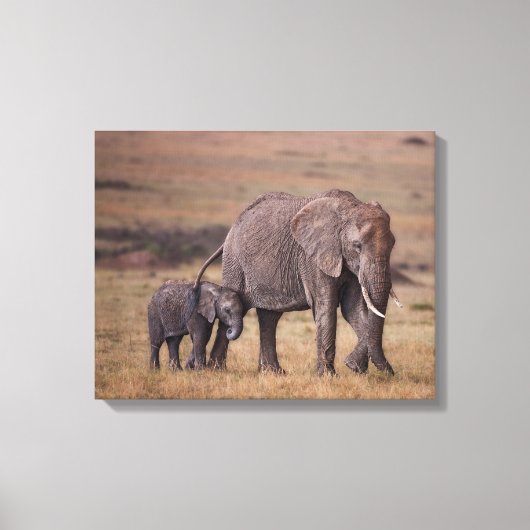 Afrikaanse olifant met baby canvas afdruk (Voorkant)