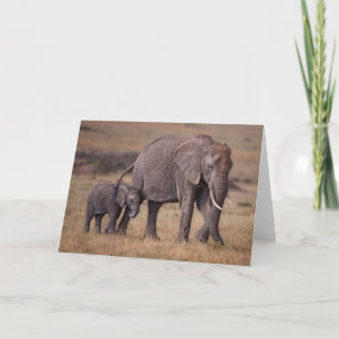 Afrikaanse olifant met Baby Kaart