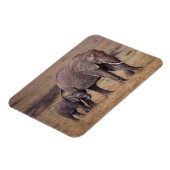 Afrikaanse olifant met Baby Magneet (Linkerzijde)