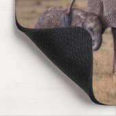 Afrikaanse olifant met baby muismat (Hoek)