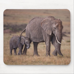 Afrikaanse olifant met Baby Muismat