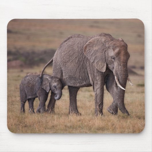 Afrikaanse olifant met baby muismat (Voorkant)