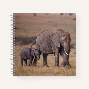 Afrikaanse olifant met baby notitieboek