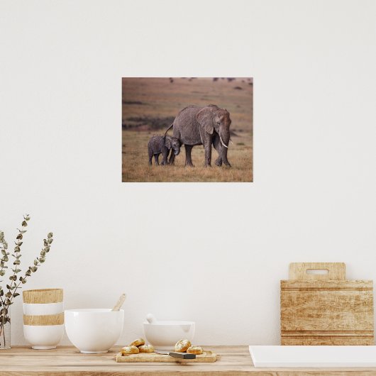 Afrikaanse olifant met Baby Poster (Keuken)