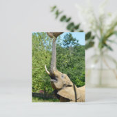 Afrikaanse olifant met boomstam omhoog feestdagenkaart (Staand voorkant)