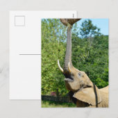 Afrikaanse olifant met boomstam omhoog feestdagenkaart (Voorkant / Achterkant)