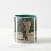 Afrikaanse Olifant Mok (Midden)
