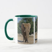 Afrikaanse Olifant Mok (Links)