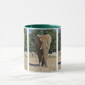 Afrikaanse Olifant Mok (Midden)