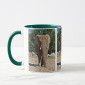 Afrikaanse Olifant Mok (Links)