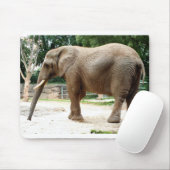 Afrikaanse olifant muismat (Met muis)