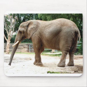 Afrikaanse olifant muismat