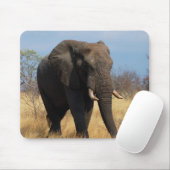 Afrikaanse olifant muismat (Met muis)