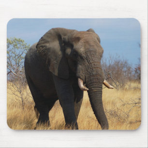 Afrikaanse olifant muismat