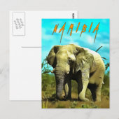 Afrikaanse olifant, Namibië Briefkaart (Voorkant / Achterkant)